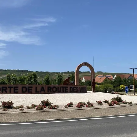 Апартаменты Le Plebiscite Maison Premium Sur La Route Des Vins D'alsace Марленхайм