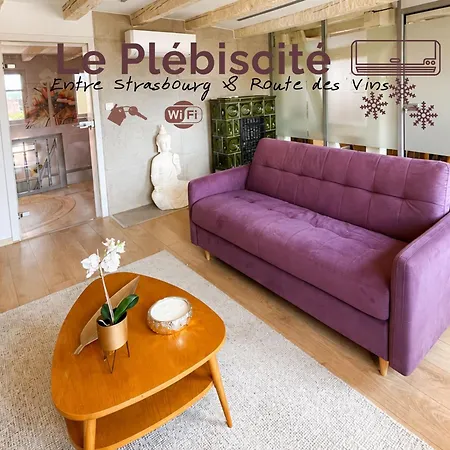 Le Plebiscite Maison Premium Sur La Route Des Vins D'alsace Апартаменты