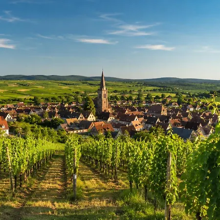 Le Plebiscite Maison Premium Sur La Route Des Vins D'alsace