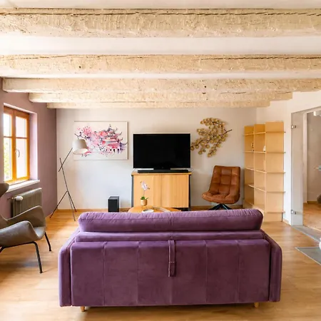 Le Plebiscite Maison Premium Sur La Route Des Vins D'alsace Апартаменты *