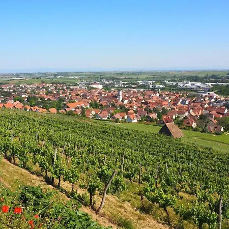 Le Plebiscite Maison Premium Sur La Route Des Vins D'alsace Апартаменты